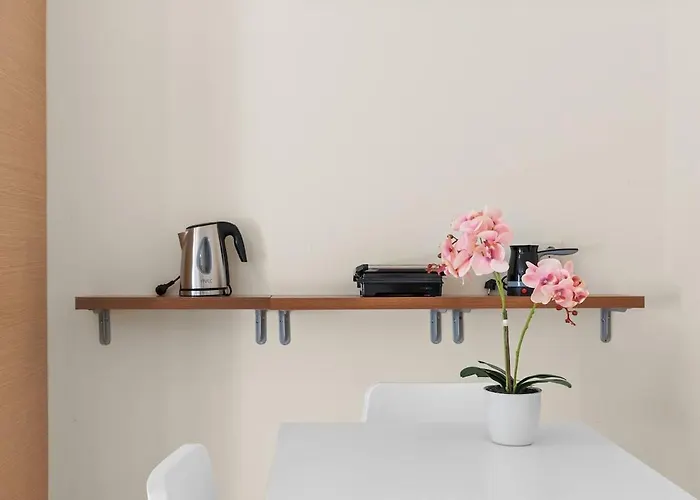 Beautiful Modern *